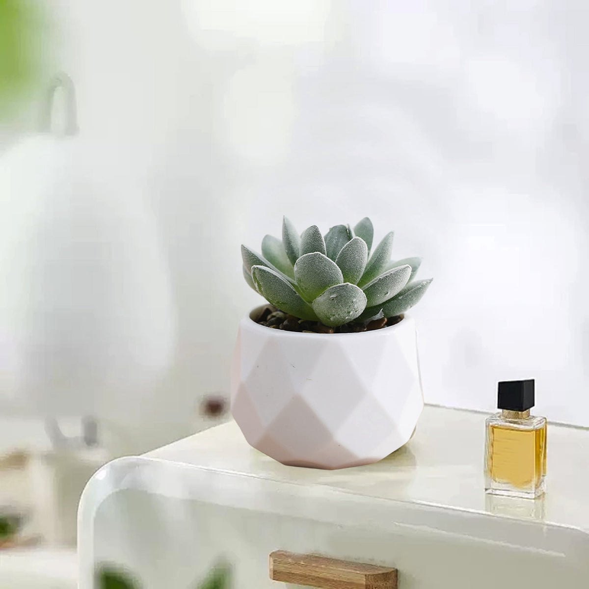 Mini Faux Potted Plant for a Desk, Shelf or Windowsill - Image 6