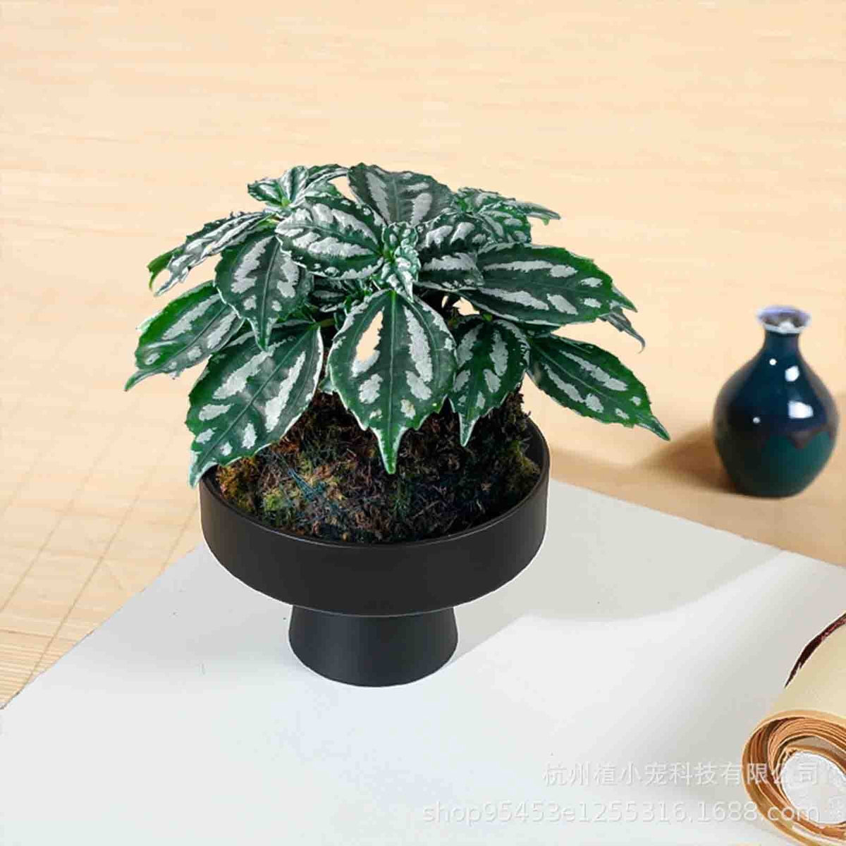 Footed Decorative Bowl in Black for Fruit, Keys or Small Snacks - Image 5