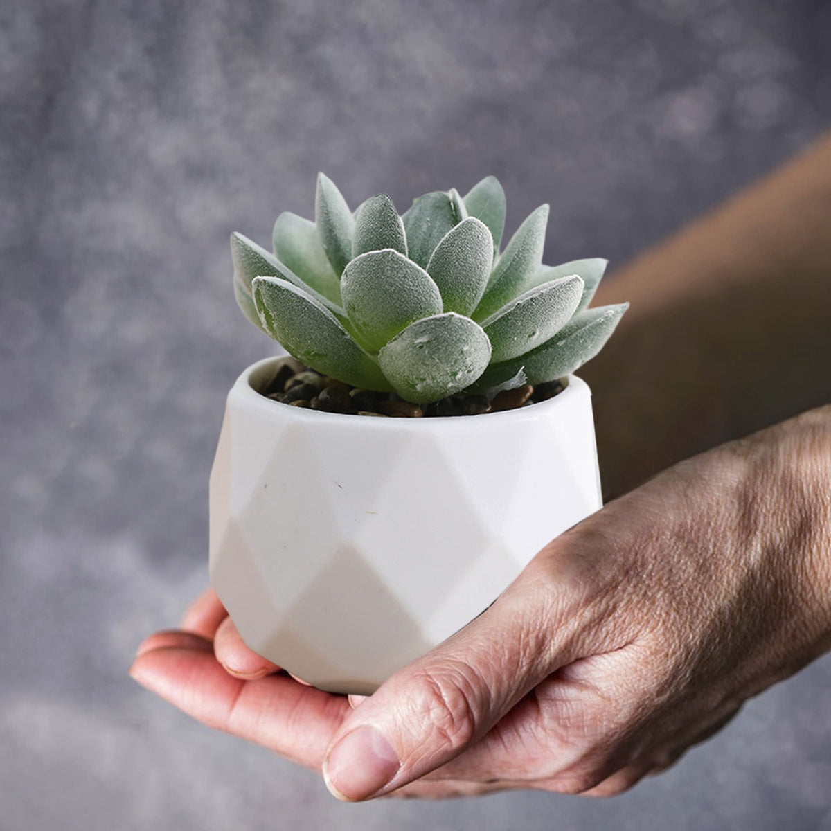 Mini Faux Potted Plant for a Desk, Shelf or Windowsill - Image 4